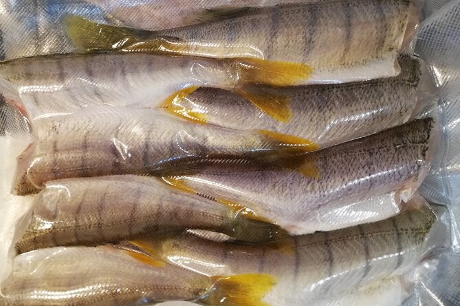 Fishing Tour with a Fishing Boat at Lake Constance (Untersee) - What is included, and what you still need to plan