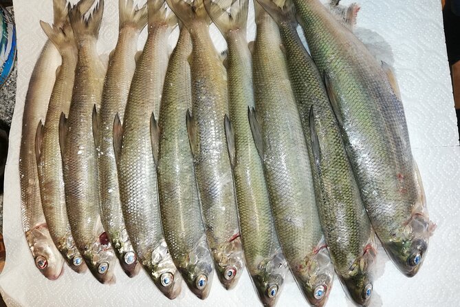 Fishing Tour with a Fishing Boat at Lake Constance (Untersee) - How to plan your meeting and pickup