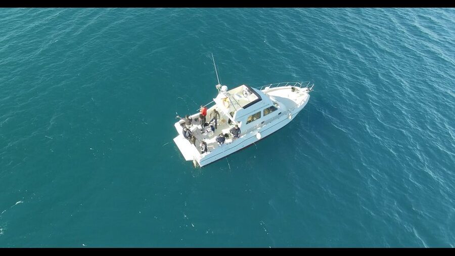 Fishing Trip all included - Key points to know before you book