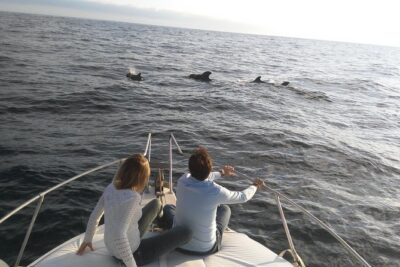 Fishing trip, Tenerife Sea Passion