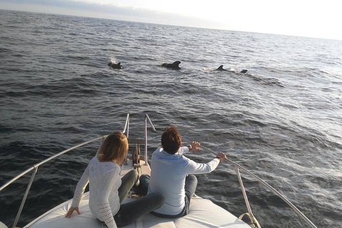 Fishing trip, Tenerife Sea Passion - What four hours on the water includes