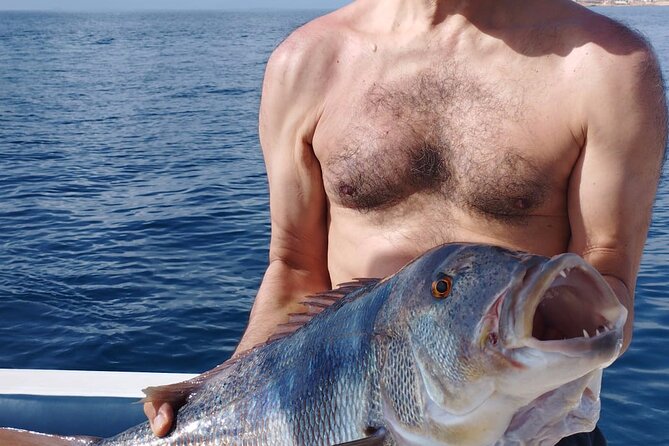 Fishing trip Torrevieja - Is $168.41 a fair price?