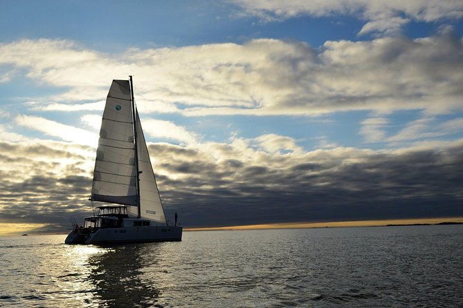 Fishing Trip with Luxury Catamaran in Tromso - Learning the basics from the skipper