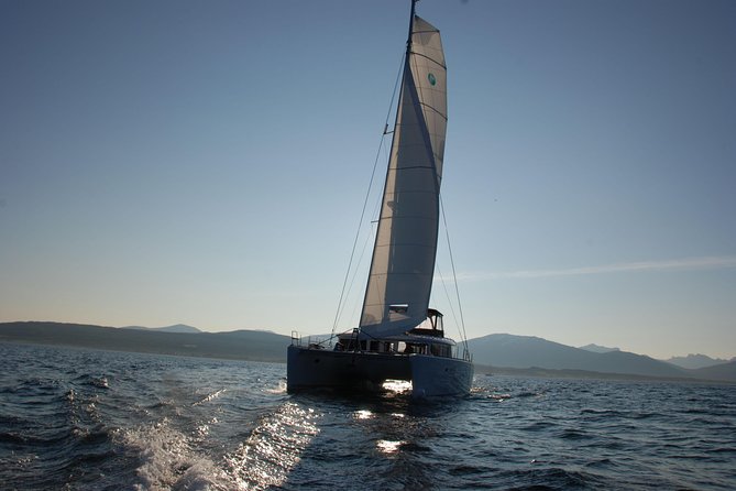 Fishing Trip with Luxury Catamaran in Tromso - A catamaran gives you a steadier ride