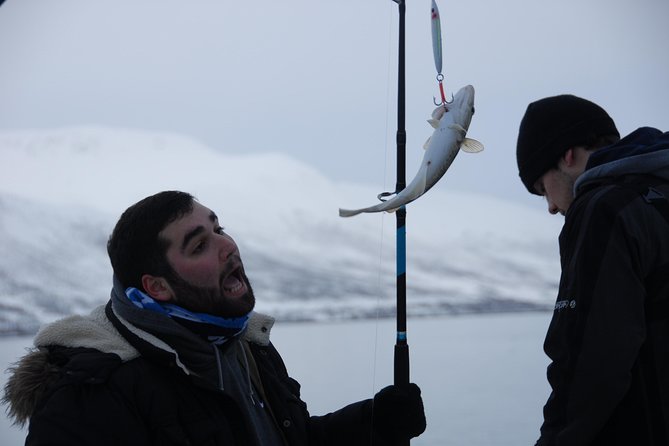 Fishing Trip with Luxury Catamaran in Tromso - The fjord scenery is part of the value
