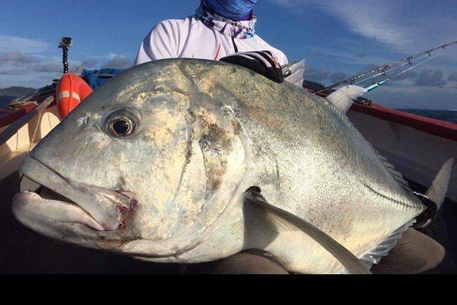 Fishing Trips. Popping, jigging, big game, live bait - Key points before you book
