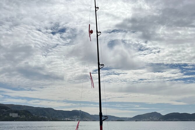 Fjord Sea Safari with Fishing from Bergen - Homemade fish soup and a taste of Norway