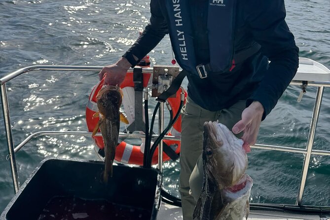 Fjord Sea Safari with Fishing from Bergen - Fishing the coastal waters near Bergen