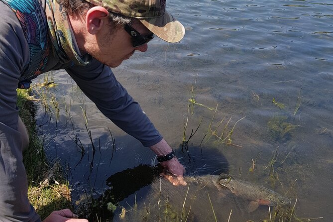 Fly Fishing Experience Near Mexico City - Catching rainbow trout, then letting them go