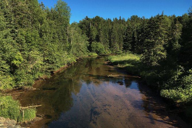 Fly Fishing Guided Experiences - Getting equipped for the Morell River area