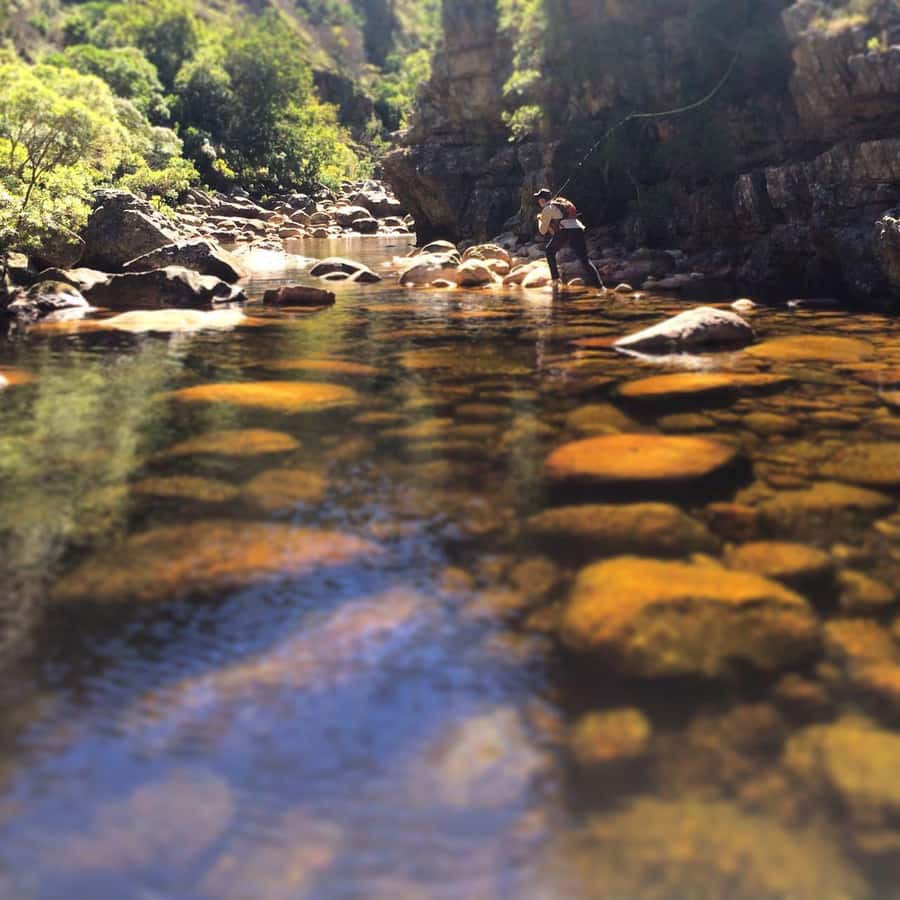 Fly Fishing in Cape Town - Gear, wading, and what you should bring