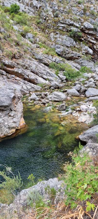 Fly Fishing in Cape Town - A good choice for couples and outdoor-minded visitors