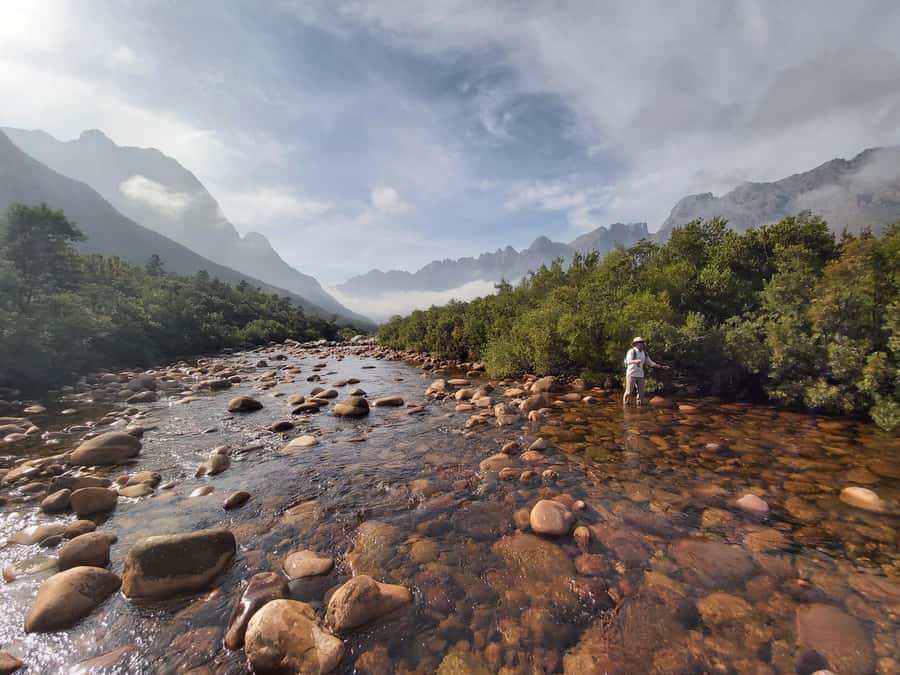 Fly Fishing in Cape Town - Why sight fishing makes the trout feel special