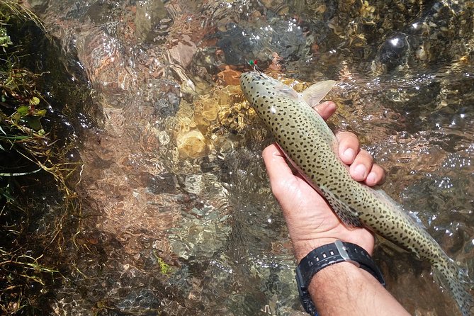 Fly Fishing on Private Andean River Including Barbecue Lunch - Fishing a private Andean stream