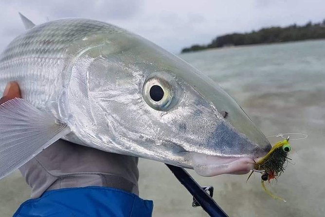Fly Fishing Tour - A short trip with more than one fishing plan