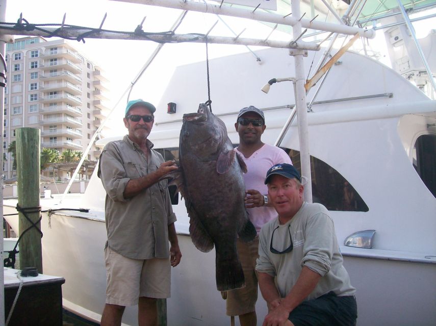 Fort Lauderdale: 4-Hour Sport Fishing Shared Charter - What you might catch, from small fish to trophy targets