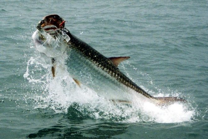 Fort Lauderdale Inshore Fishing Charters - Fishing the Intracoastal Waterway from Fort Lauderdale