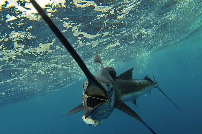 Four-Hour Fishing Tour in Dominica - Key points to know before you book