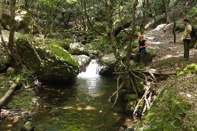 From Catania, Syracuse and Taormina: fly fishing experience - Five hours in the Appennino Siculo