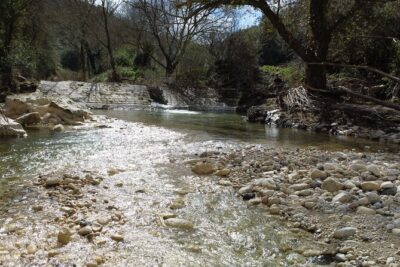 From Catania, Syracuse and Taormina: fly fishing experience