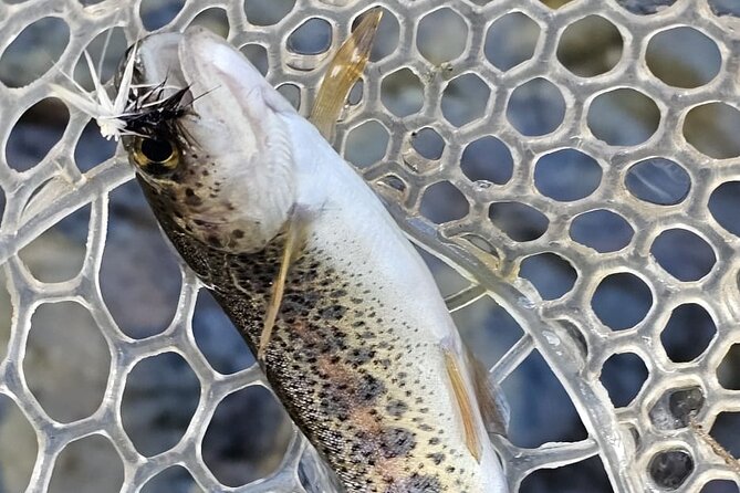 From Catania, Syracuse and Taormina: fly fishing experience - A long day with a simple rhythm