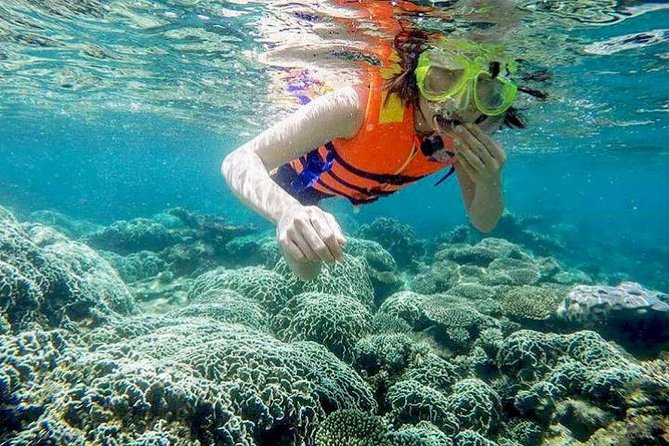 From Mui Ne To Vinh Hy Bay Snorkeling And Fishing Tour | Day Trip - Key points at a glance