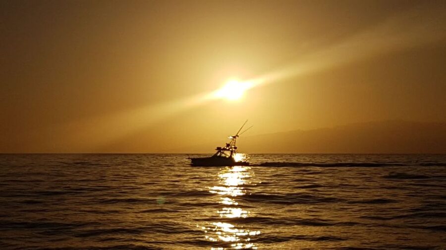 From Puerto Colón: Private Fishing Boat Charter with Lunch - What happens once you are on board