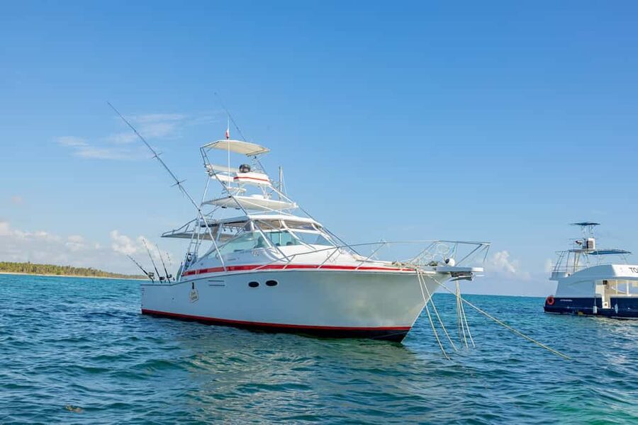From Punta Cana: Deep Sea Fishing Tour by Boat with Drinks - A four-hour fishing trip with real uncertainty