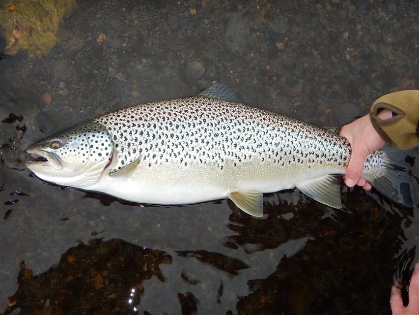 From Reykjavik: Lake and River Fishing Tour - Is $766 per person a fair value?