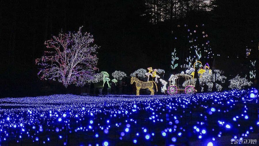 From Seoul: Hwacheon Ice Fishing and Lighting Festival Tour - Two Korean winter festivals in one long day