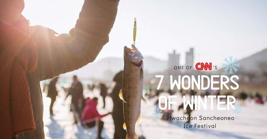 From Seoul: Hwacheon Ice Fishing and Lighting Festival Tour - Should you book the Hwacheon and Garden of Morning Calm tour?