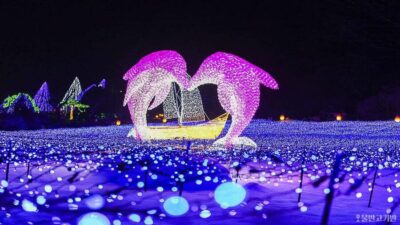 From Seoul: Hwacheon Ice Fishing and Lighting Festival Tour