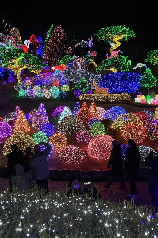 From Seoul: Hwacheon Ice Fishing and Lighting Festival Tour - Who gets the best value from this tour