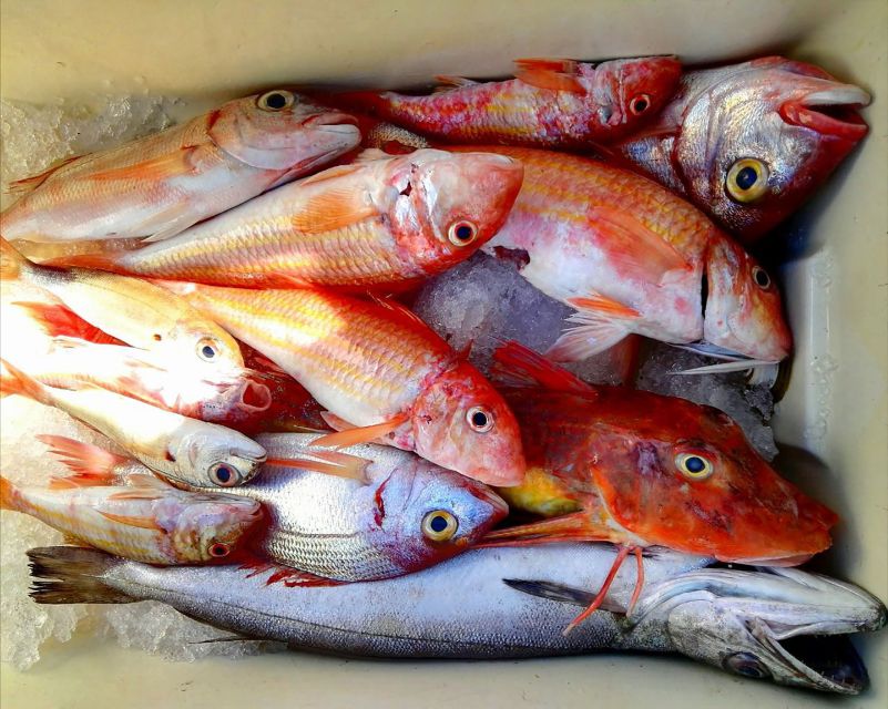 From Sorrento: Fishing in Capri with Lunch - Why this Capri day feels different