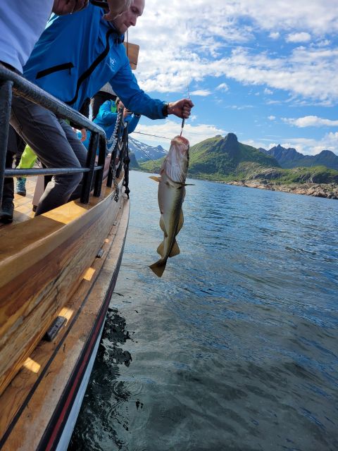 From Svolvaer: Lofoten Fishing Boat Cruise - What you can catch, and what you can keep