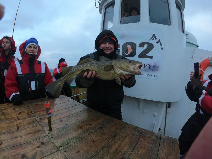 From Svolvaer: Lofoten Fishing Boat Cruise - Who will enjoy this most?