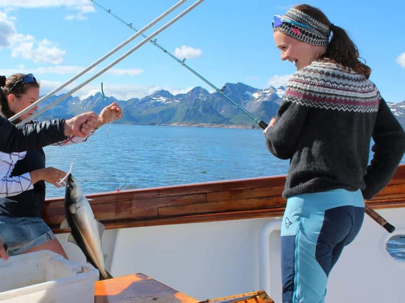 From Svolvær: Taste of Lofoten - Cultural Fishing Experience - Fishing traditions begin at the Svolvær dock