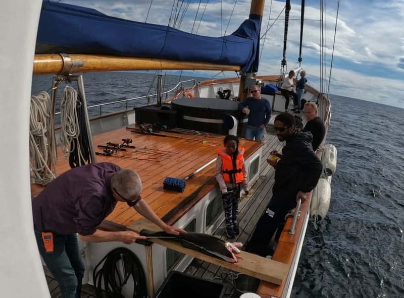 From Svolvær: Taste of Lofoten - Cultural Fishing Experience - Vestfjorden turns a fishing lesson into a scenic cruise