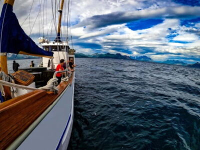 From Svolvær: Taste of Lofoten – Cultural Fishing Experience