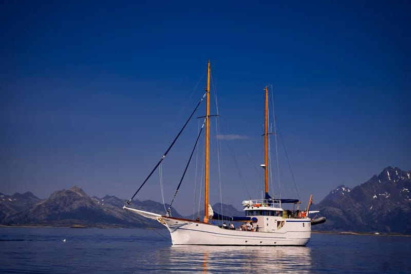 From Svolvær: Taste of Lofoten - Cultural Fishing Experience - Who will enjoy this Lofoten fishing trip most?