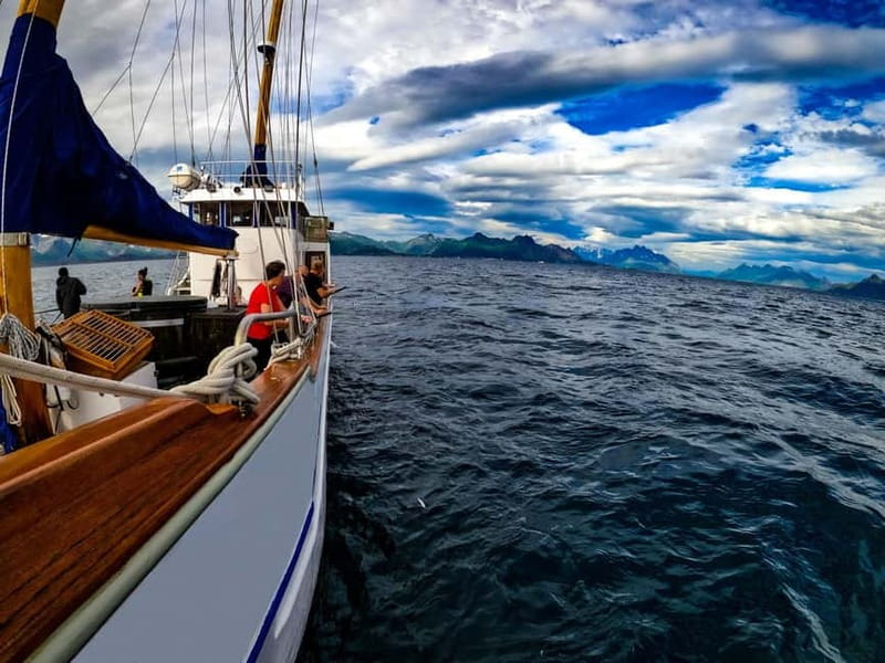 From Svolvær: Taste of Lofoten - Cultural Fishing Experience - Catching cod, pollock, mackerel, or haddock