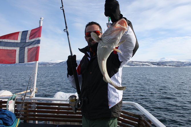 From Tromsø: Polar Fishing Adventure - Key points to know before you book