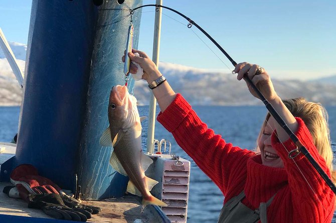 From Tromsø: Polar Fishing Adventure - Casting for cod and halibut