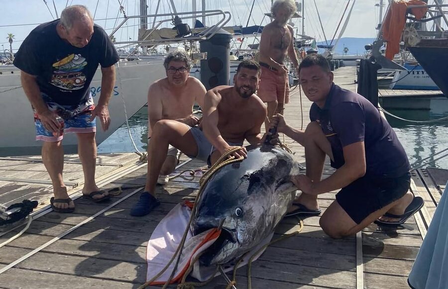 Fuengirola: 4h Trolling Fishing Trip with Snacks and Drinks - What you may catch