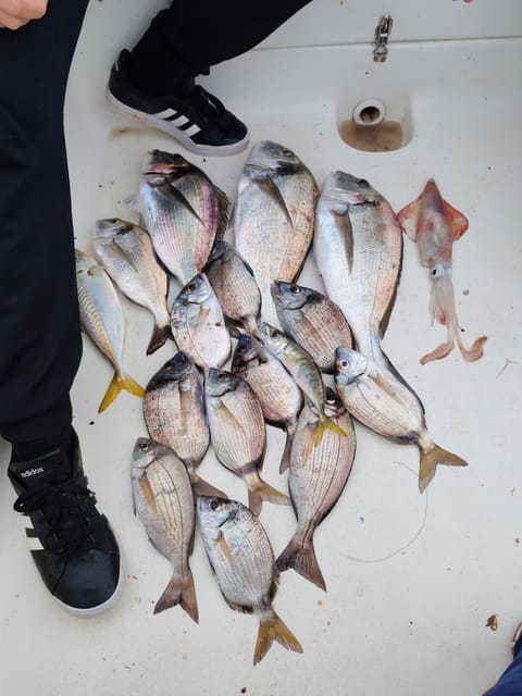 Fuengirola: Bottom Fishing with Jigging and Squid, 2, 4 and 6 hours - Scenery, snacks, and the pace of the outing