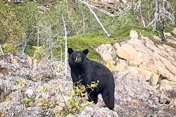 Full Day Canyon fishing trip - The guide team and personal instruction
