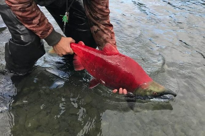 Full day fishing trips - Is $325 a fair price for the day?