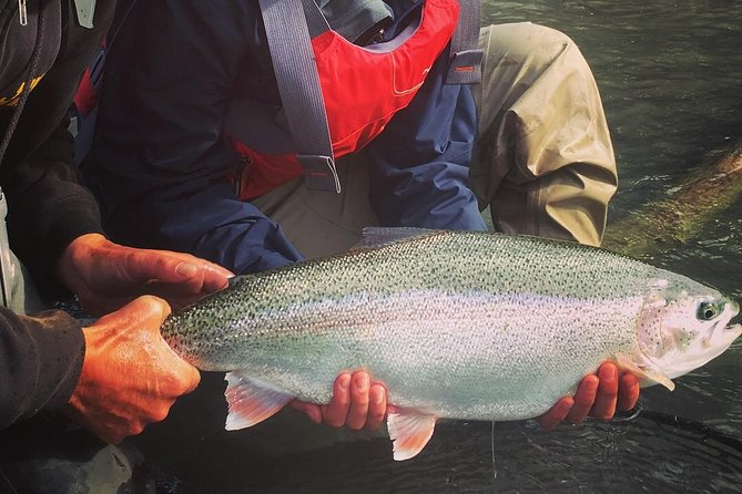 Full day fishing trips - Fly fishing or spin fishing, your choice of approach
