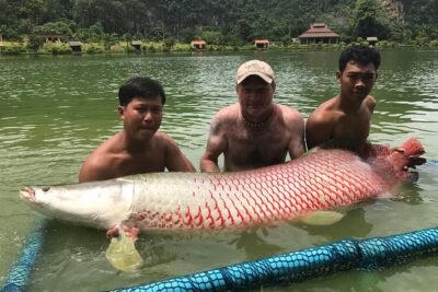 Full-Day Freshwater Lake Resort Fishing in Phang Nga