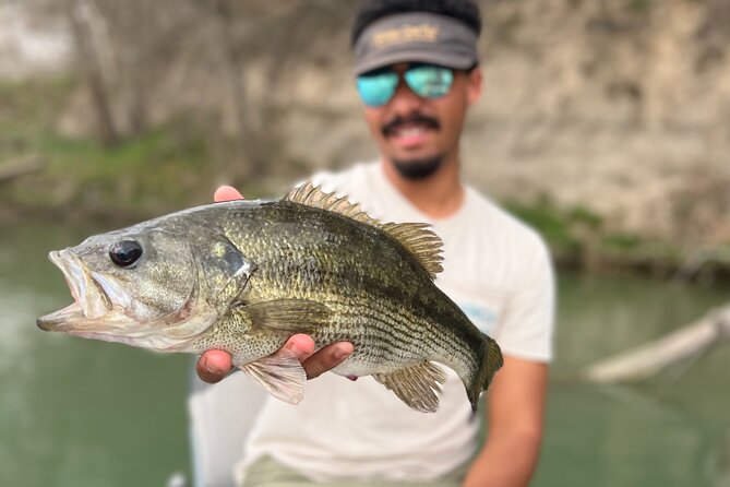 Full Day Guided Fishing Tour in Canyon Lake - Key points to know before booking